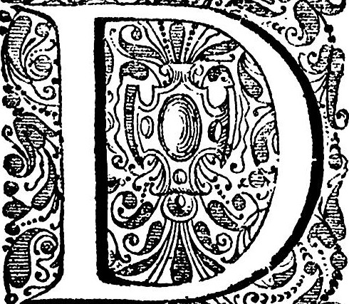 La «D» de «Diseño»