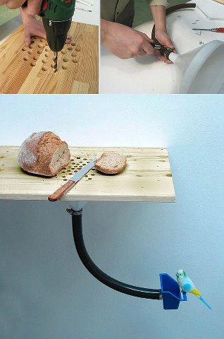 Comedero para pájaros con las migas del pan