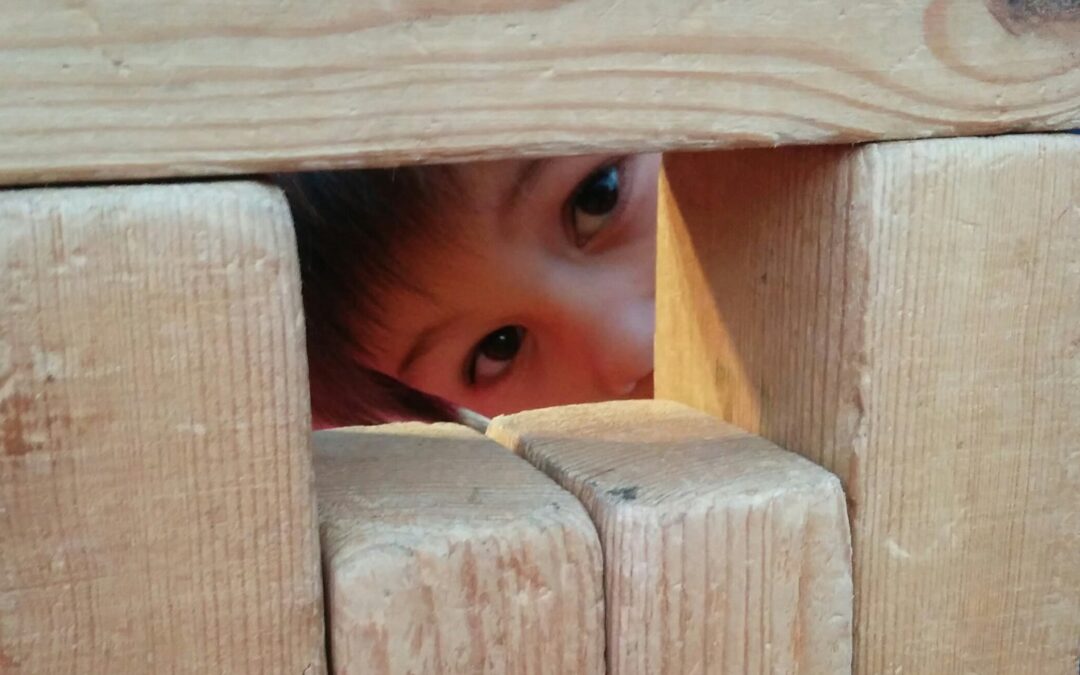 Plaça Catalunya, més rodona que mai